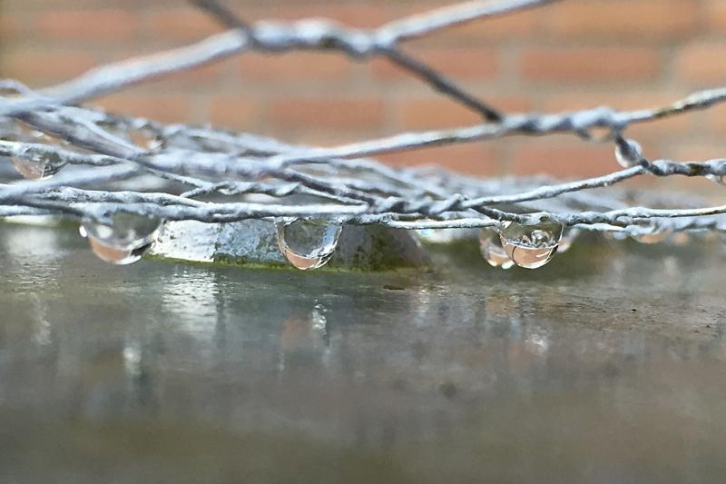 close-up-wet-fence-800x600-1 Cropped